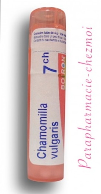 Chamomilla Vulgaris Granules 7ch Parapharmacie Chez Moi