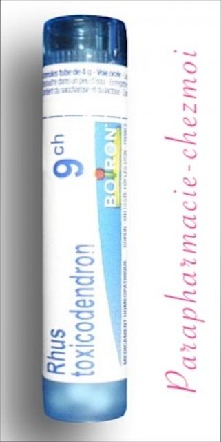 Rhus Toxicodendron Granules 9ch Parapharmacie Chez Moi