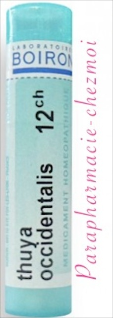 Pommade Homéopathique SBL Thuya Pour Verrues - Tube De 25 G, Ingrédients Naturels, Neuf