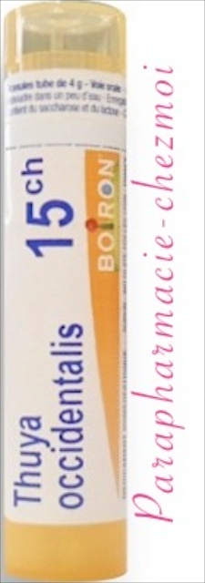 Thuya Occidentalis Granules 15ch Parapharmacie Chez Moi