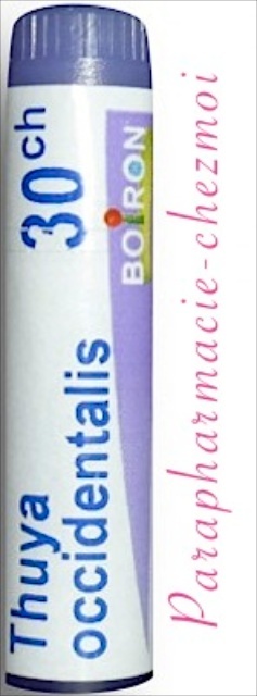 Thuya Occidentalis Dose 30ch Parapharmacie Chez Moi