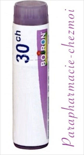 Remède Homéopathique SBL - Symphytum Commun (Consoude) - Dilution 200CH - Flacon 30ml En Gouttes
