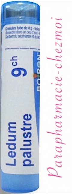 Ledum Palustre Granules 9ch Parapharmacie Chez Moi