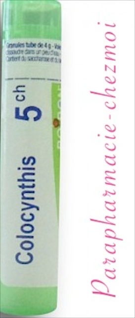Colocynthis Granules 5ch Parapharmacie Chez Moi