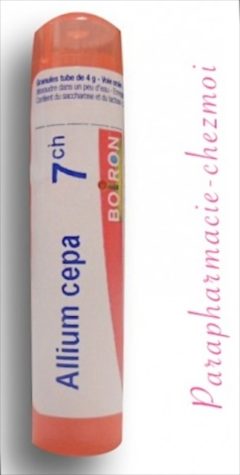 Allium Cepa Granules 7ch Parapharmacie Chez Moi